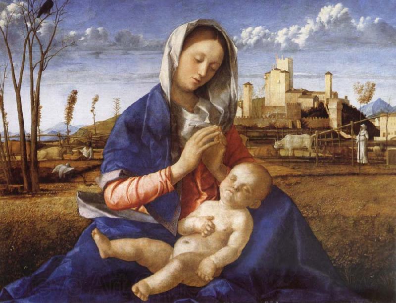 Giovanni Bellini Madonna in the Meadow